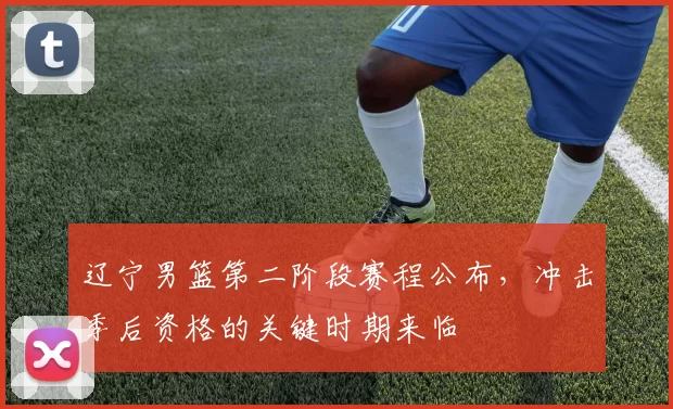 辽宁男篮第二阶段赛程公布，冲击季后资格的关键时期来临