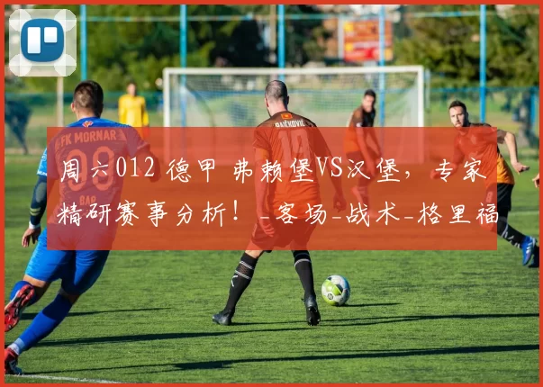 周六012 德甲 弗赖堡VS汉堡，专家精研赛事分析！_客场_战术_格里福