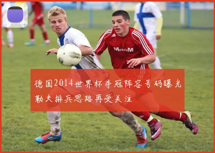 德国2014世界杯夺冠阵容号码曝光勒夫排兵思路再受关注